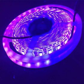 LED Purple Light UV Soft Patch Light With Low Voltage (Option: 60 LightsM Bare Board-DC5V)