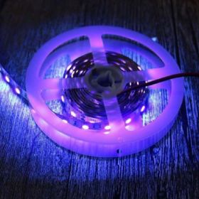 LED Purple Light UV Soft Patch Light With Low Voltage (Option: 120 LightsM Bare Board-DC12V)