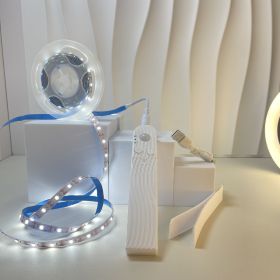Led Human Body Induction Light With Bed Bottom Atmosphere (Option: Waterproof Light Strip 3 M-White Charging)